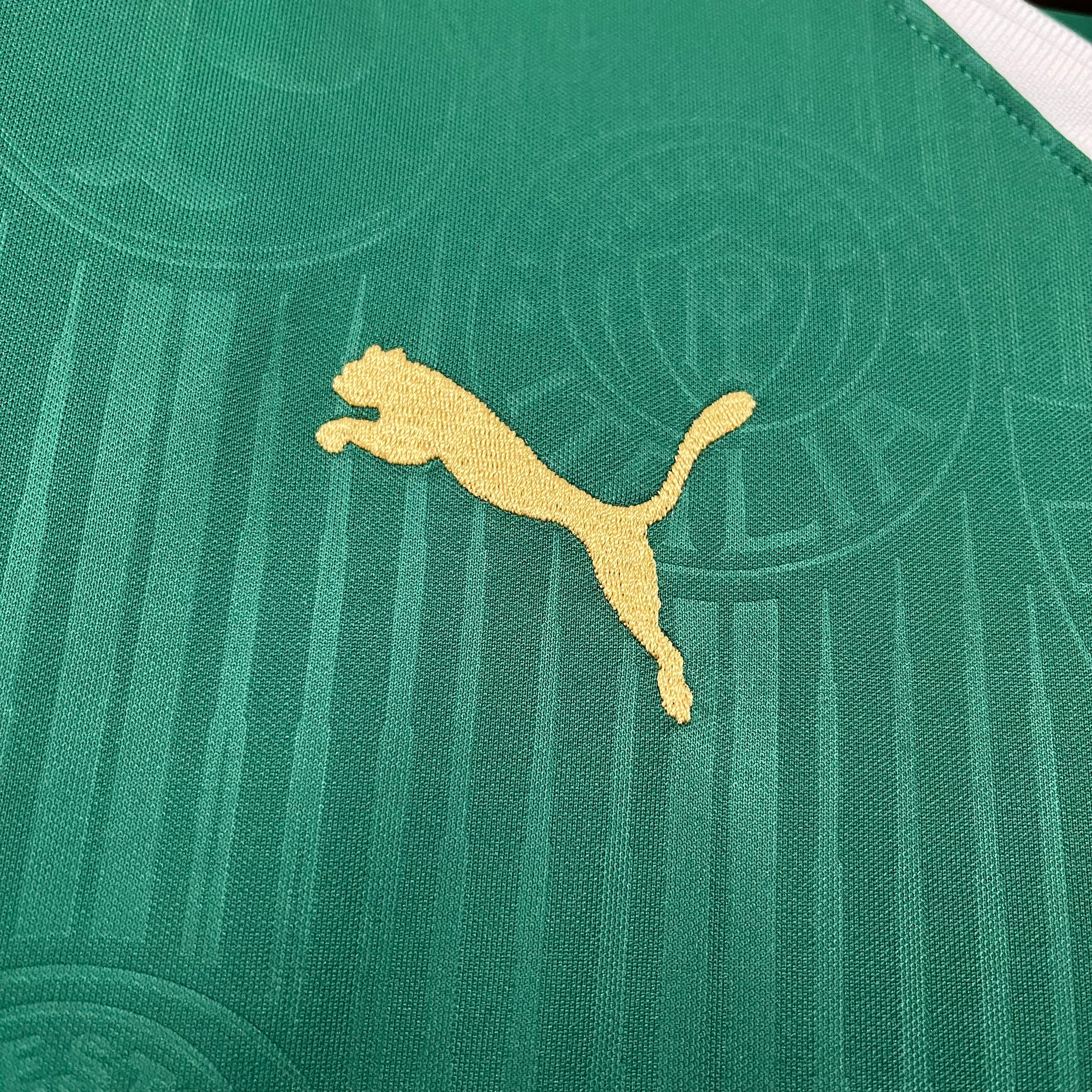 NEW CAMISETA PERSONALIZADA Palmeiras 2024/25